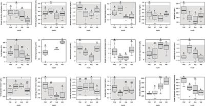 The Iconic Atlantic Goliath Grouper (Epinephelus itajara): A Comprehensive Assessment of Health Indices in the Southeastern United States Population